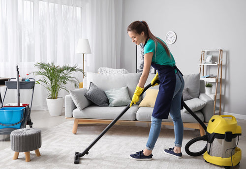 Basic Home Cleaning