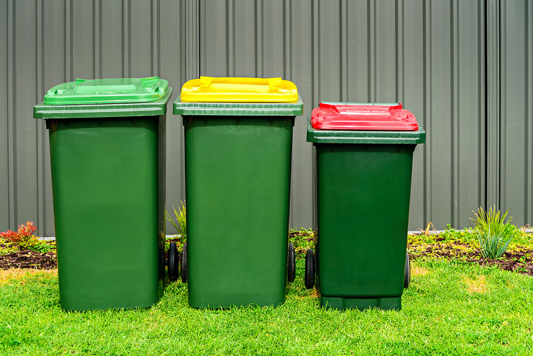 Trash Bin Cleaning
